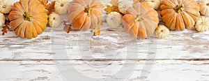 Autunno frontiere gelido arancia zucca sul rurale bianco legna formato pubblicitario destinato principalmente all'uso sui siti web 