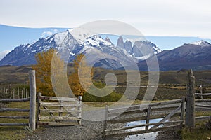 Autumn in Torres del Paine National Park