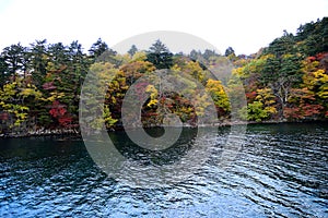 Autumn at Towada