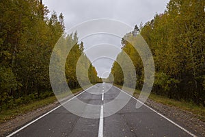 Autumn track on the border of the Khanty-Mansiysk Autonomous Okrug and the Sverdlovsk Region in Russia