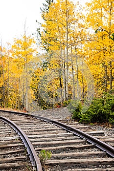 Autumn Train Tracks