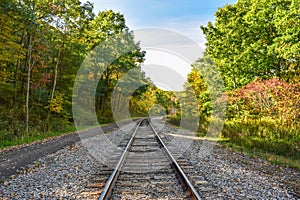 Autumn Train Tracks