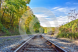 Autumn Train Tracks