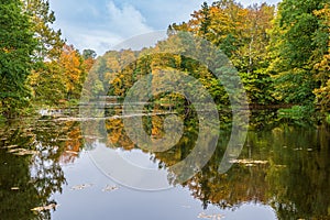Autumn tranquillity in nature, a park in autumn with colourful leaves in the trees and reflections photo