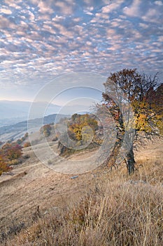 Autumn in Transylvania 2 photo