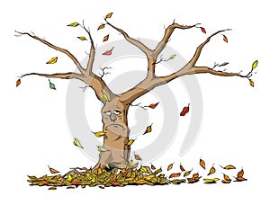 Autumn tree