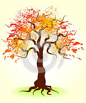 Autumn tree