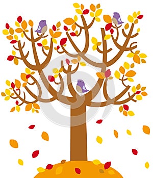 Autunno un albero 