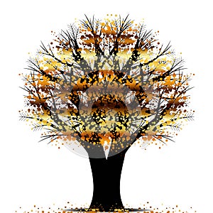 Autumn tree