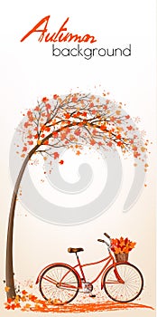 Autumn tree background with bicycle.