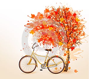 Autumn tree background with a yellow bicycle.