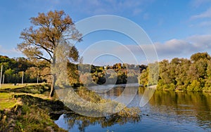 Autumn tree on the banks of the Desna river in Bryansk