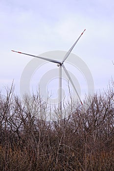 Autumn tree branches against the background of a wind turbine blade and cloudy sky