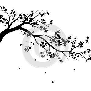 Autumn tree branches,silhouette of fallen branches without leaves.Vector illustration isolated on a white background.