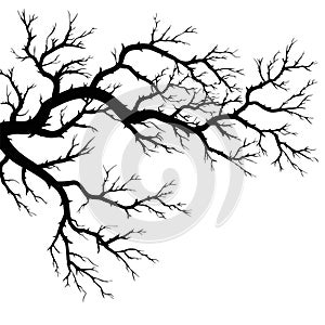 Autumn tree branches,silhouette of fallen branches without leaves.Vector illustration isolated on a white background.