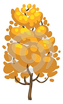 Autumn tree. Cartoon plant with yellow fall foliage