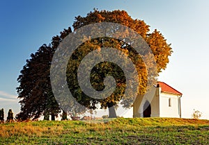 Autumn tree and chapel