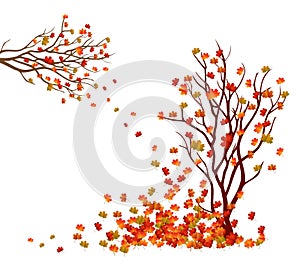 Autumn tree. Fall Leaves Background