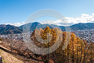 Autumn tree and Fujiyoshida city in Japan.