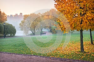 Autumn tree with golden foliage in Tsaritsyno