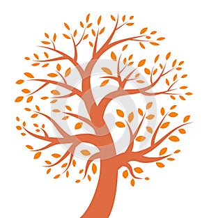 Autumn Tree icon