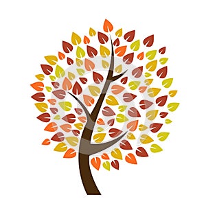 Autumn tree icon