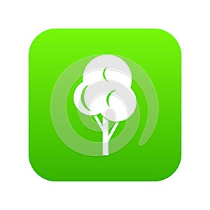 Autumn tree icon digital green