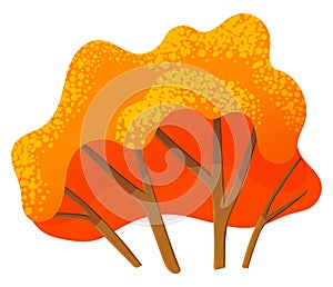 Autumn tree icon, isolated symbol of nature, wood, forest, tree with orange leaves, crown, plant