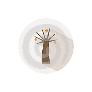 Autumn tree. Icon with shadow on a beige circle. Fall vector illustration