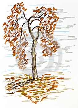 Autumn tree illustration, hand drawn twisted old tree