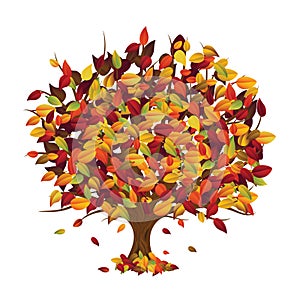 Autunno un albero ()  