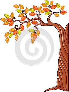 Autumn tree isolated on white background