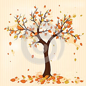 Autumn tree with leaves