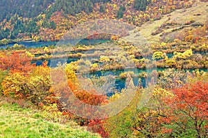 Autumn tree and lake in Jiuzhaigou