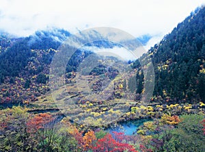 Autumn tree and lake in Jiuzhaigou