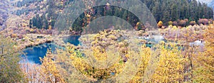 Autumn tree and lake panorama in Jiuzhaigou