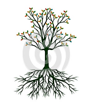 Autumn Tree with Leaves and Roots. Vector outline Illustration. Plant in Garden