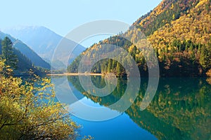 Autumn tree mountain and lake