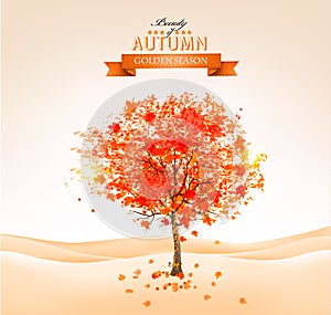 Autumn tree with orange leaves.