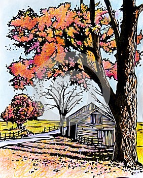 autumn tree and ramshackle farm house