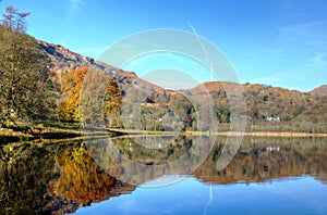 Autumn tree reflected in Grasmere photo