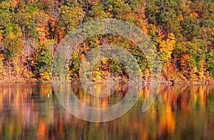 Autumn tree reflections