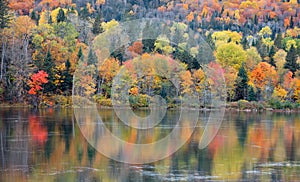 Autumn tree reflections in Riviere Saint Maurice