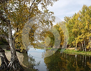 Autumn tree by river