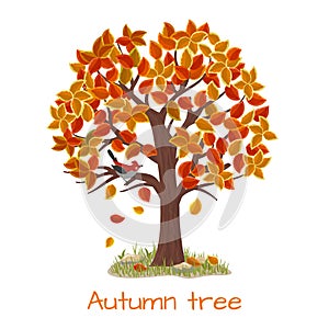 Autumn tree vector