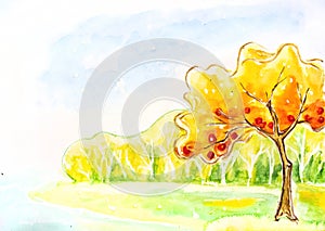 Autumn tree. Watercolor painting.