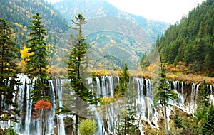 Autumn tree and waterfall