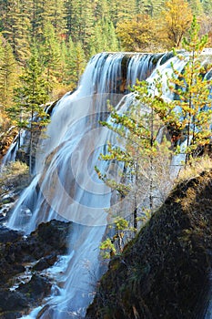 Autumn tree and waterfall
