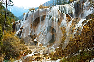 Autumn tree and waterfall