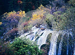 Autumn tree and waterfall